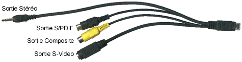 http://www.hardware.fr/images/articles/aiw_radeon_cable.gif