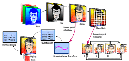 mpeg2process.gif (32360 octets)