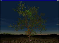 tree1_mini.jpg (11779 octets)